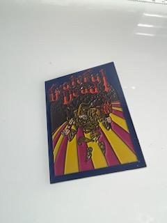 Grateful Dead Skeleton Music Pin