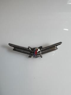 Bowie Lighting Bolt Globe Pin