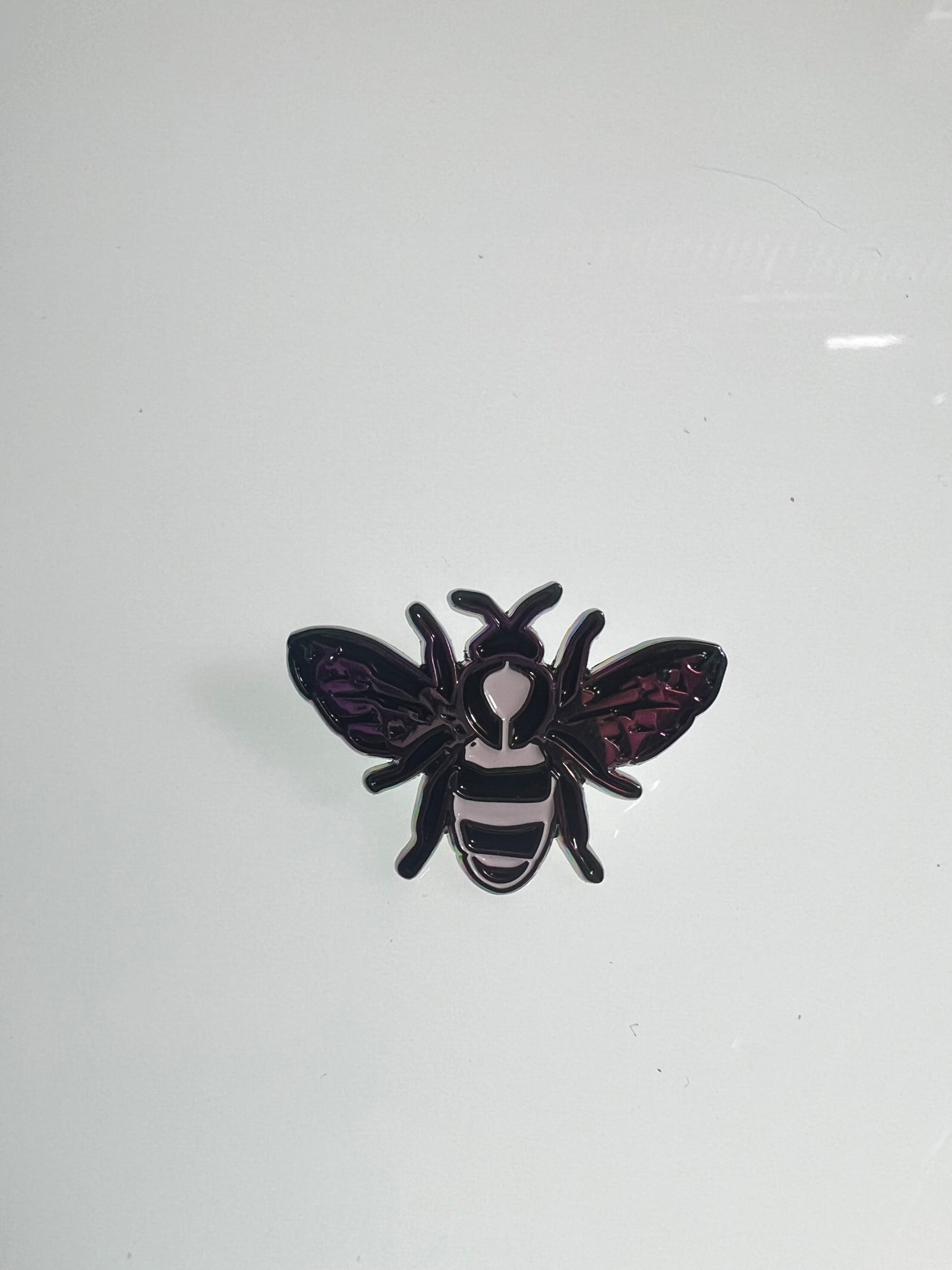 Rainbow Black and White Bee Pin